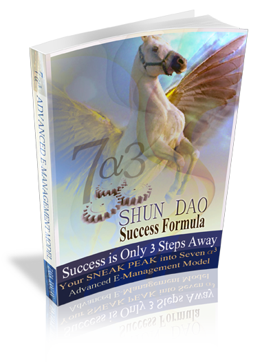 7alpha3 advanced business e-management model